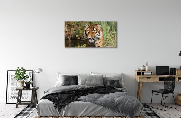 Sklenený obraz Tiger Woods 100x50 cm 2 Prívesky