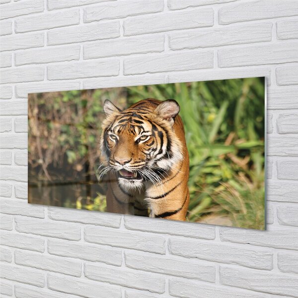 Sklenený obraz Tiger Woods 100x50 cm 2 Prívesky