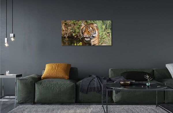 Sklenený obraz Tiger Woods 100x50 cm 2 Prívesky