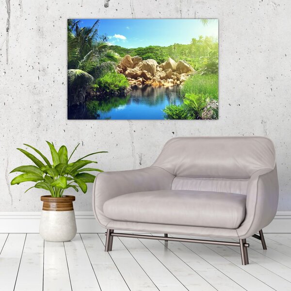 Obraz jazera v Seychelskej džungli (90x60 cm)