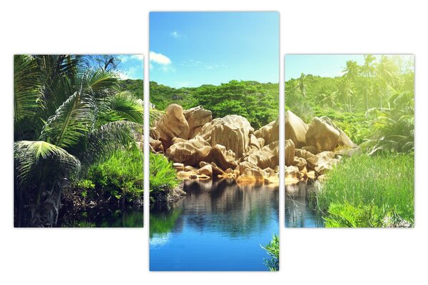 Obraz jazera v Seychelskej džungli (90x60 cm)