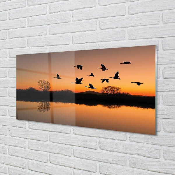Sklenený obraz Lietajúce vtáky sunset 100x50 cm 2 Prívesky
