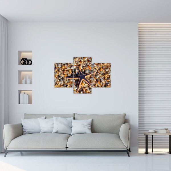 Obraz morskej hviezdice (90x60 cm)