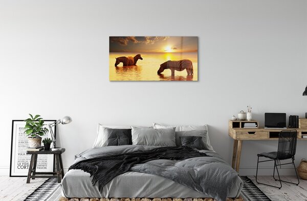 Sklenený obraz Zebry voda západ slnka 100x50 cm 2 Prívesky