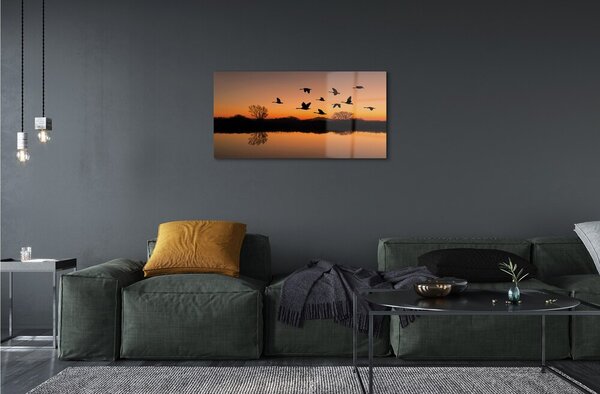 Sklenený obraz Lietajúce vtáky sunset 100x50 cm 2 Prívesky