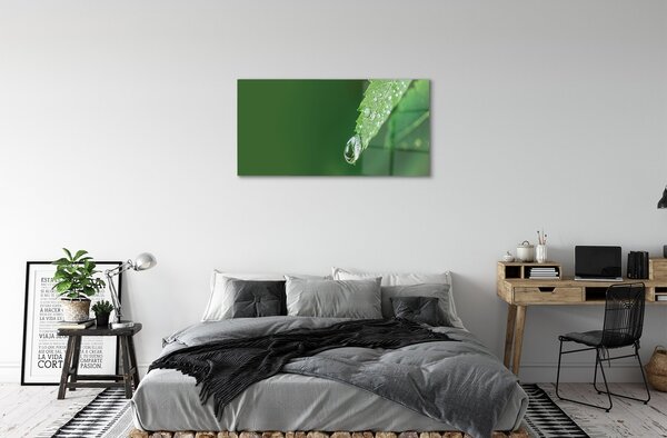 Obraz na skle Kvapka vody lístia 100x50 cm 2 Prívesky