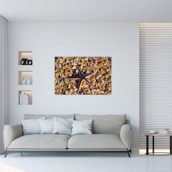Obraz morskej hviezdice (90x60 cm)