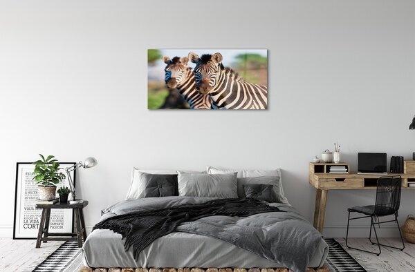Sklenený obraz zebra 100x50 cm 2 Prívesky