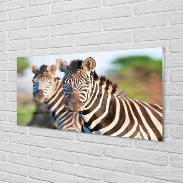 Sklenený obraz zebra 100x50 cm 2 Prívesky