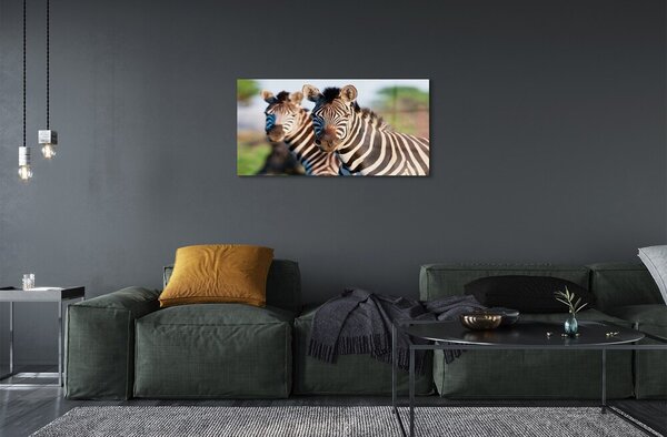 Sklenený obraz zebra 100x50 cm 2 Prívesky