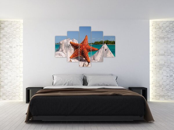 Obraz morskej hviezdice (150x105 cm)