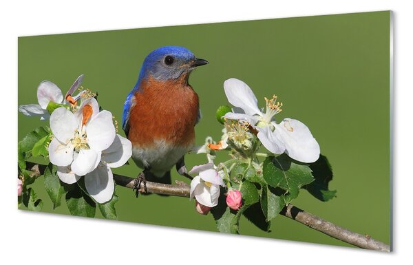 Sklenený obraz Kvety farebné papagáj 100x50 cm