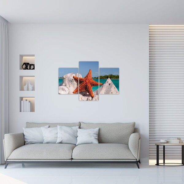Obraz morskej hviezdice (90x60 cm)