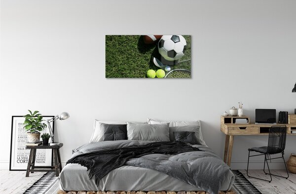 Obraz na skle Pádlo guľa tráva 100x50 cm 2 Prívesky