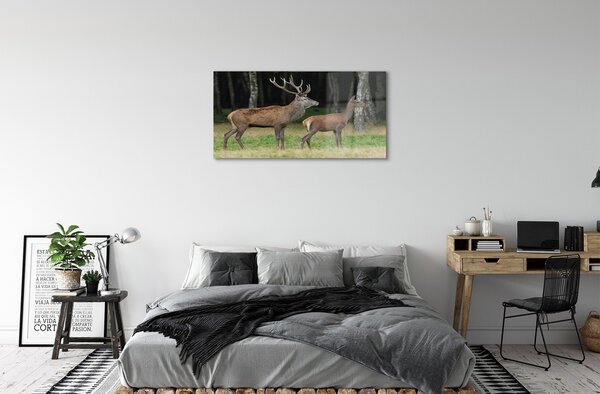 Sklenený obraz jeleň lesný 100x50 cm 2 Prívesky