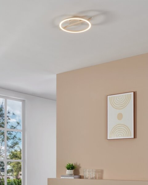 Eglo 901114 - LED Stmievateľné stropné svietidlo AMANDOLO LED/17W/230V biela + DO