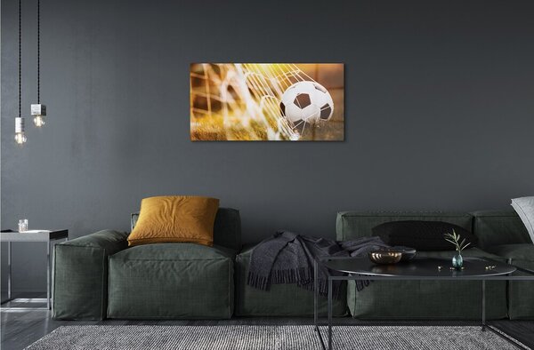 Obraz na skle Lopta žltá tráva pozadia 100x50 cm 2 Prívesky