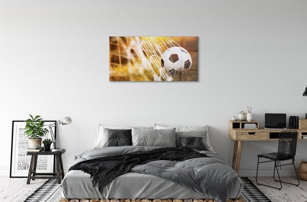 Obraz na skle Lopta žltá tráva pozadia 100x50 cm 2 Prívesky