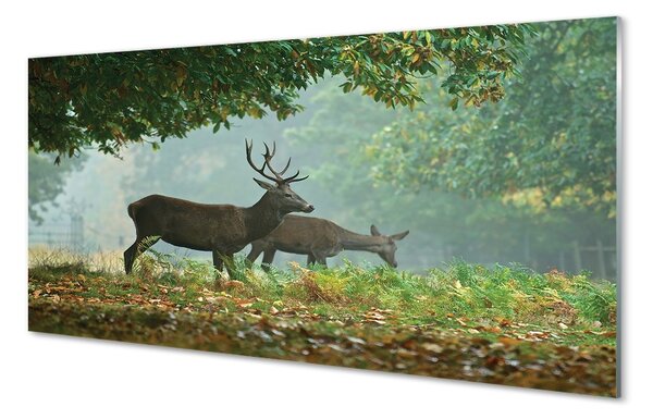 Sklenený obraz Jeleňa na jeseň les 100x50 cm 2 Prívesky