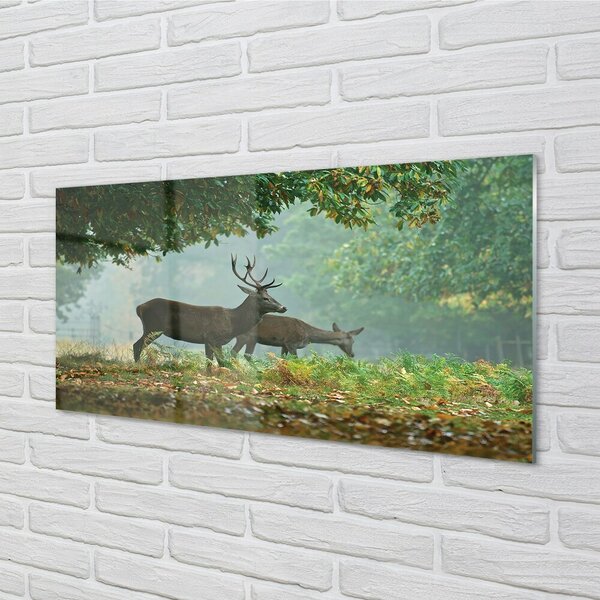 Sklenený obraz Jeleňa na jeseň les 100x50 cm 2 Prívesky
