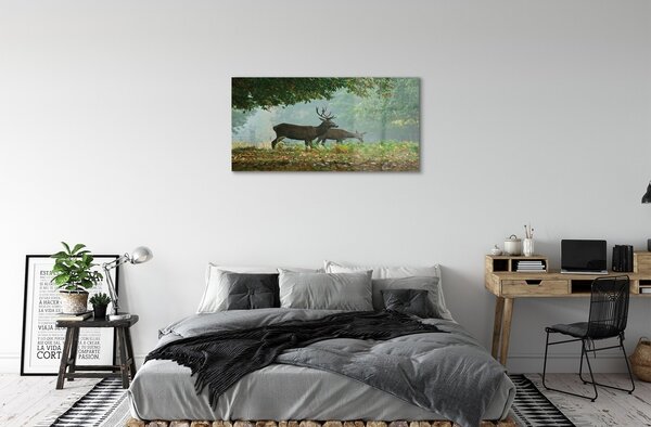 Sklenený obraz Jeleňa na jeseň les 100x50 cm 2 Prívesky