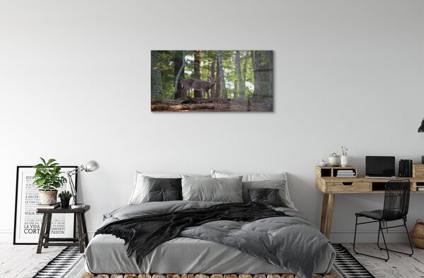 Sklenený obraz jeleň lesný 100x50 cm 2 Prívesky