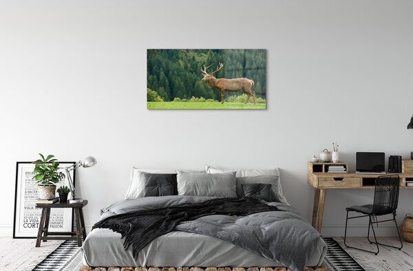 Sklenený obraz Jeleň v poli 100x50 cm 2 Prívesky