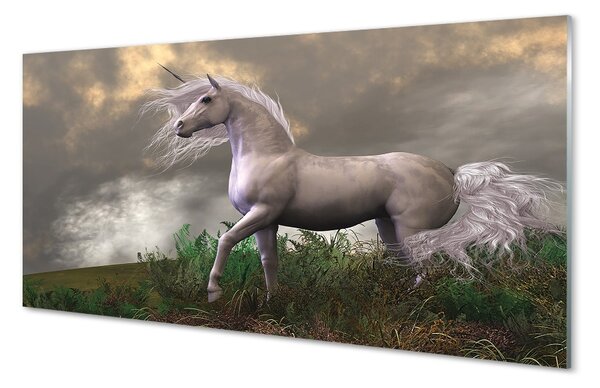 Sklenený obraz Unicorn mraky 100x50 cm 2 Prívesky