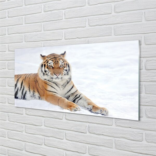 Sklenený obraz Tiger winter 100x50 cm 2 Prívesky