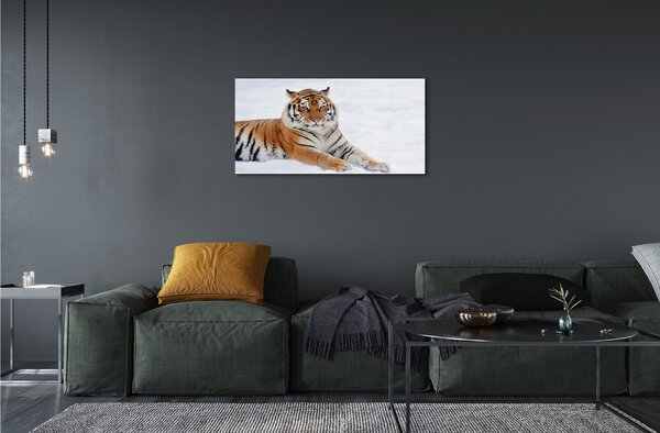 Sklenený obraz Tiger winter 100x50 cm 2 Prívesky