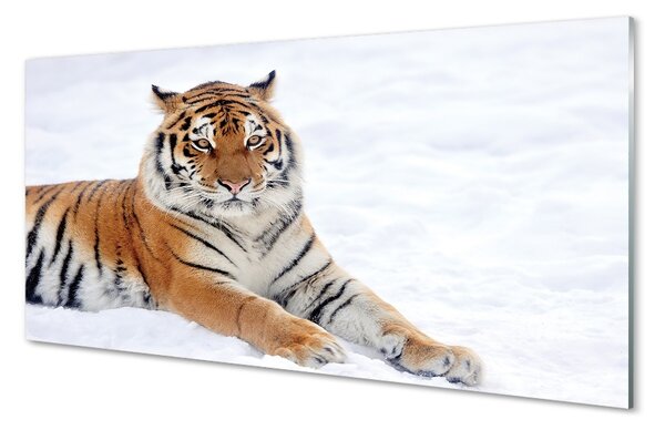 Sklenený obraz Tiger winter 100x50 cm 2 Prívesky