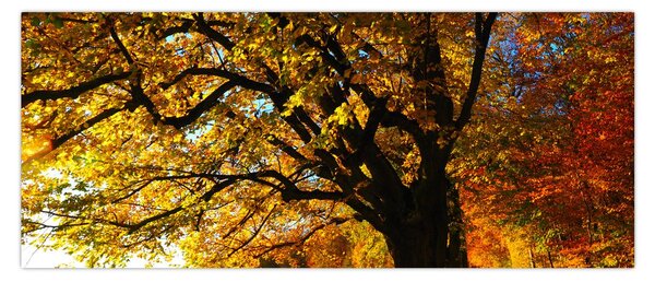 Obraz jesene (120x50 cm)