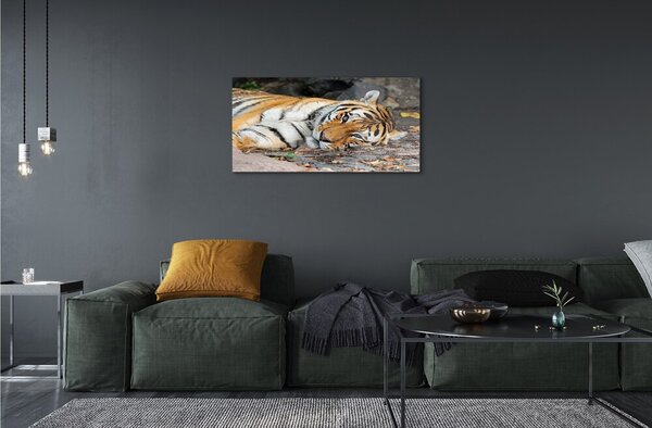 Sklenený obraz ležiace tiger 100x50 cm 2 Prívesky