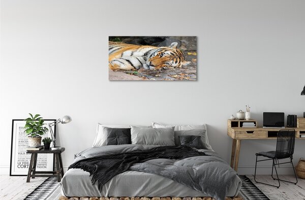 Sklenený obraz ležiace tiger 100x50 cm 2 Prívesky