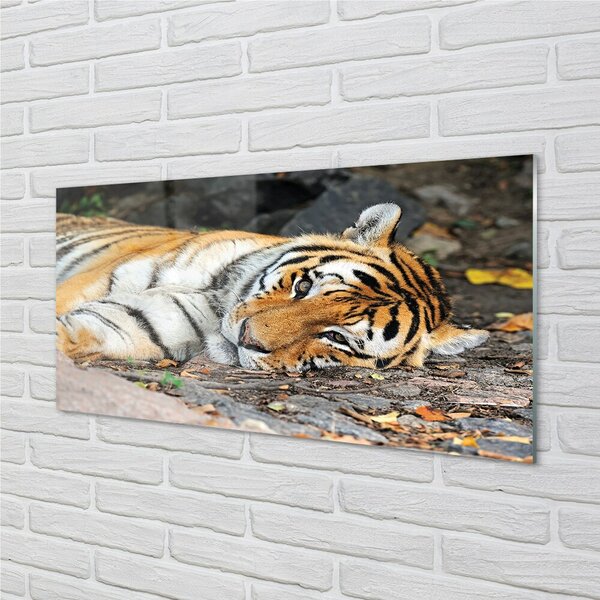 Sklenený obraz ležiace tiger 100x50 cm 2 Prívesky