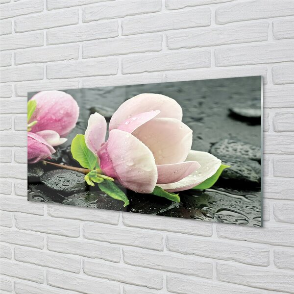 Sklenený obraz Magnolia kamene 100x50 cm 2 Prívesky