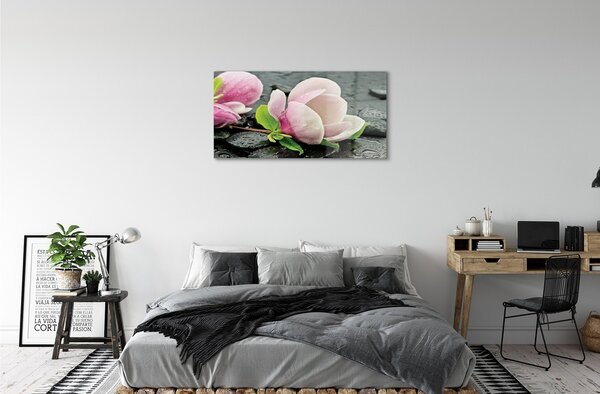 Sklenený obraz Magnolia kamene 100x50 cm 2 Prívesky