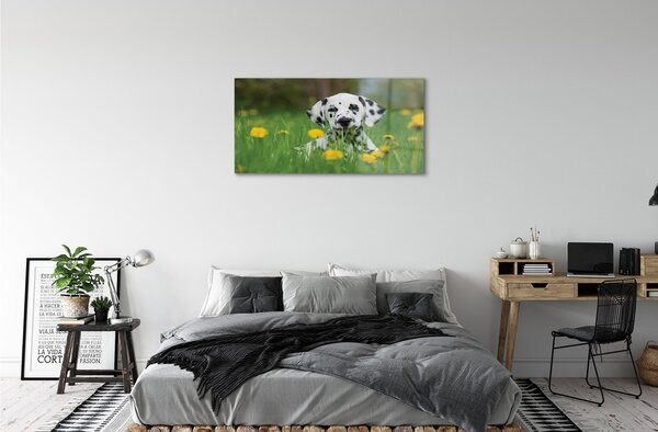 Sklenený obraz prérijnej pes 100x50 cm 2 Prívesky