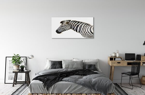 Sklenený obraz zebra 100x50 cm 2 Prívesky