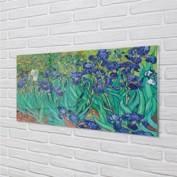 Obraz na skle Umenie kvety dúhovky 100x50 cm 2 Prívesky