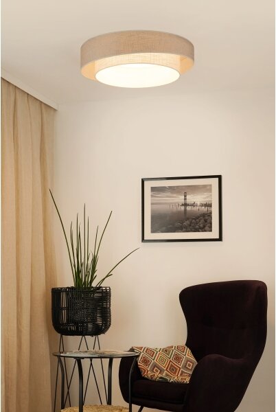 Brilagi - LED Stropné svietidlo DOVER SHINE LED/26W/230V pr. 60 cm šedá/krémová