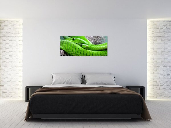 Obraz zelených hadov (120x50 cm)