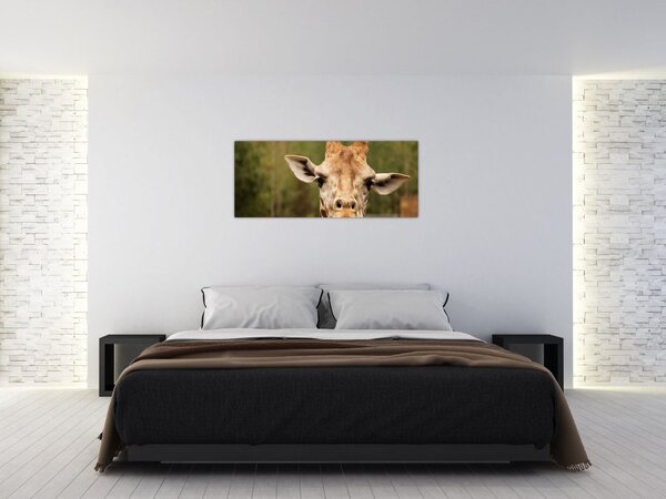 Obraz žirafy (120x50 cm)