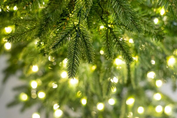 VIANOČNÝ STROMČEK - Vianočné dekorácie, Online Only
