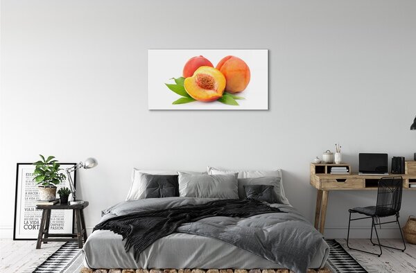 Obraz na skle marhuľa 100x50 cm 2 Prívesky
