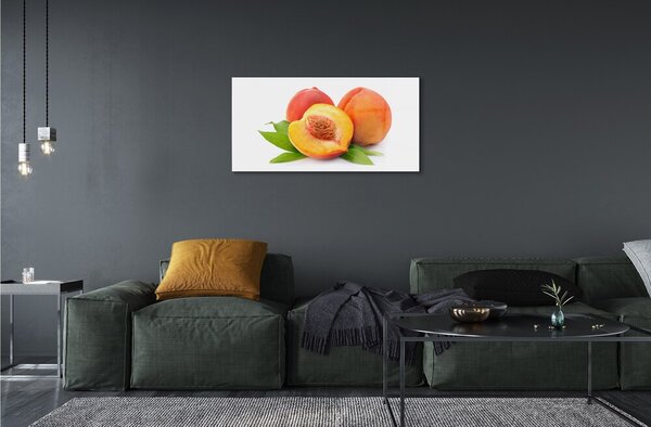 Obraz na skle marhuľa 100x50 cm 2 Prívesky