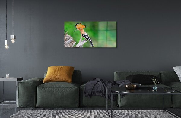Sklenený obraz Strom farebný papagáj 100x50 cm 2 Prívesky