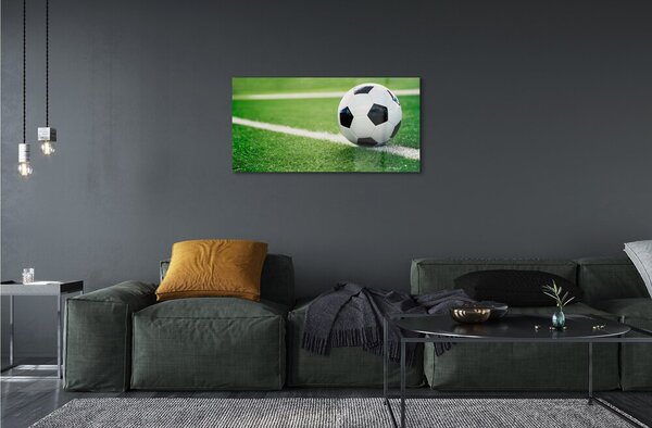 Obraz na skle futbalový trávnik 100x50 cm 2 Prívesky