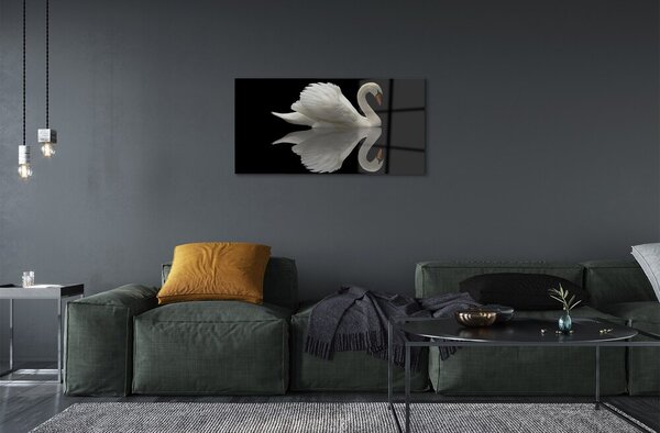 Sklenený obraz Swan v noci 100x50 cm 2 Prívesky