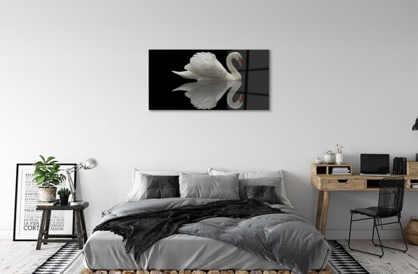 Sklenený obraz Swan v noci 100x50 cm 2 Prívesky